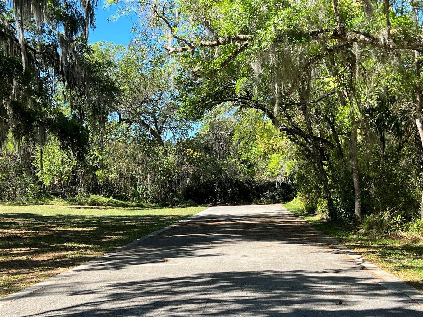 160 CUTBANK TRAIL