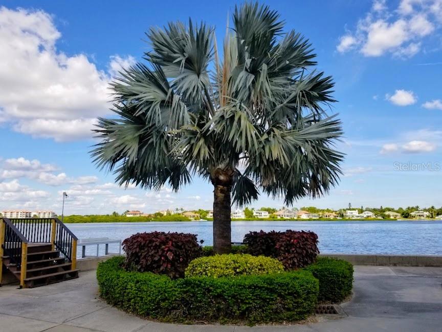 HARBOR TOWERS Y & R - Residential