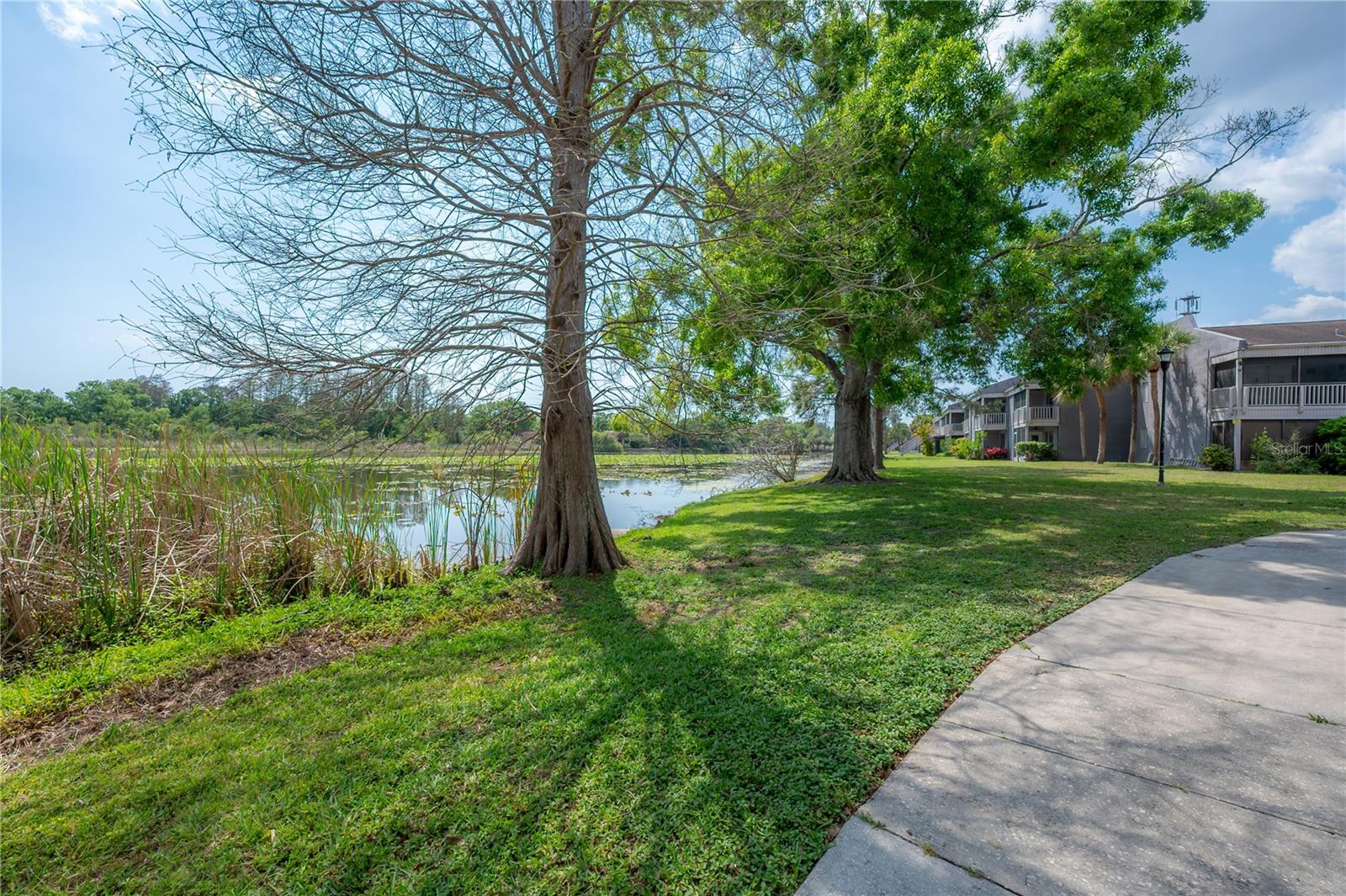 CORTEZ OF CARROLLWOOD A CONDOM - Residential