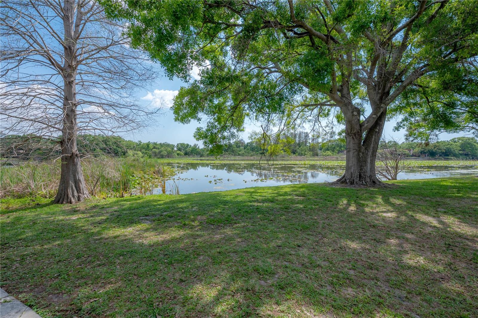 CORTEZ OF CARROLLWOOD A CONDOM - Residential