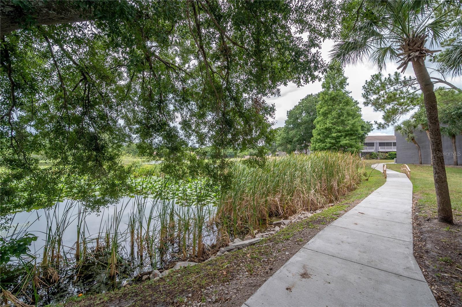 CORTEZ OF CARROLLWOOD A CONDOM - Residential