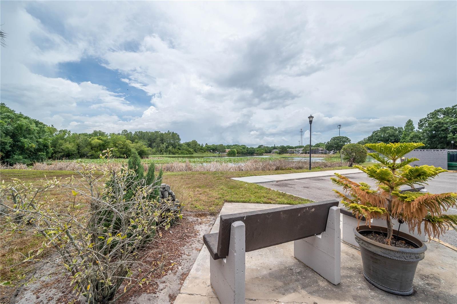 CORTEZ OF CARROLLWOOD A CONDOM - Residential