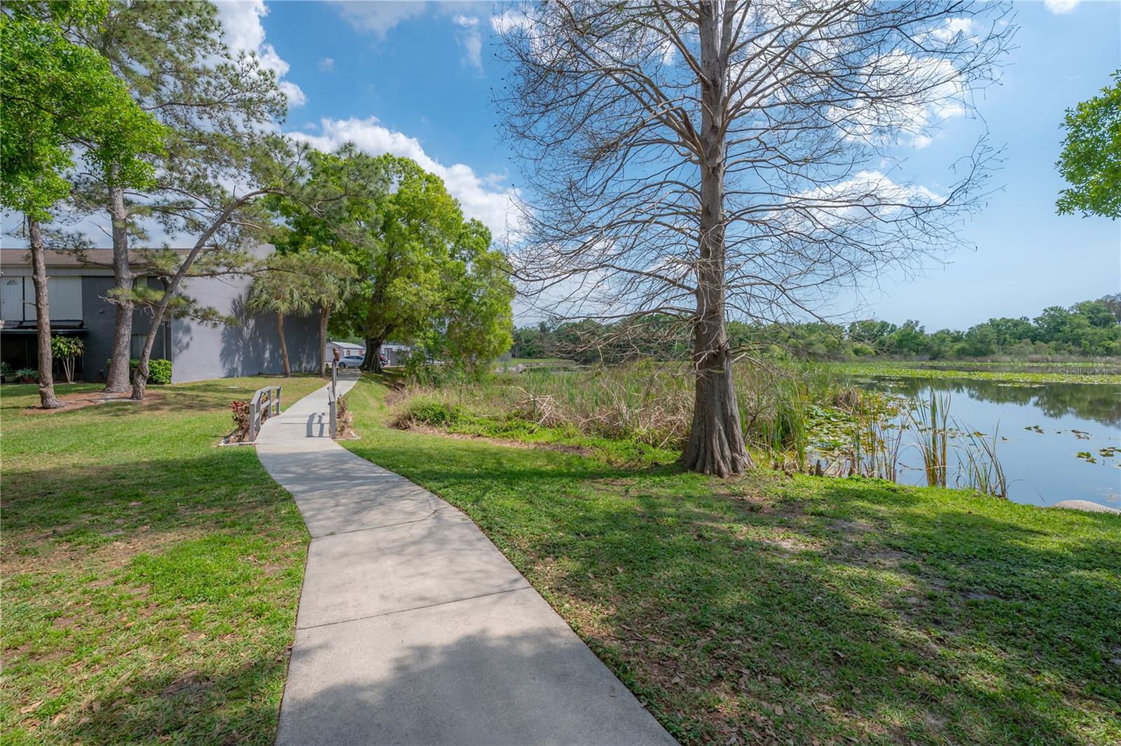 CORTEZ OF CARROLLWOOD A CONDOM - Residential