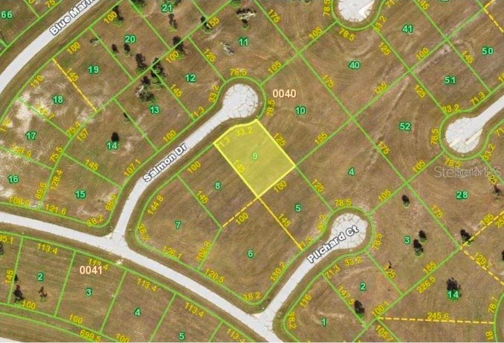 Photo of 13032 Salmon Drive, Placida, FL 33946 (MLS # O6435659)
