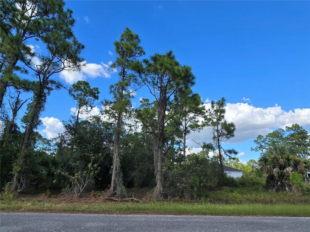 Photo of 1017 Lakeside Drive, Lehigh Acres, FL 33974 (MLS # O6354591)