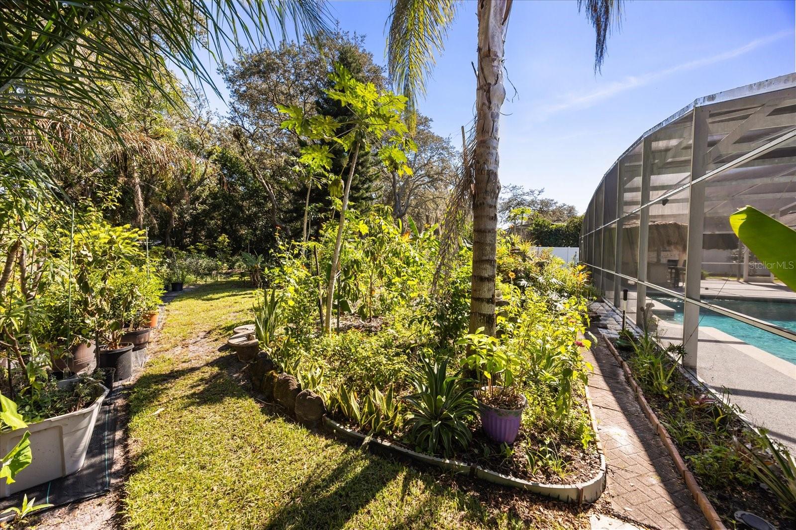 COUNTRY DOWNS PH 2 - Residential