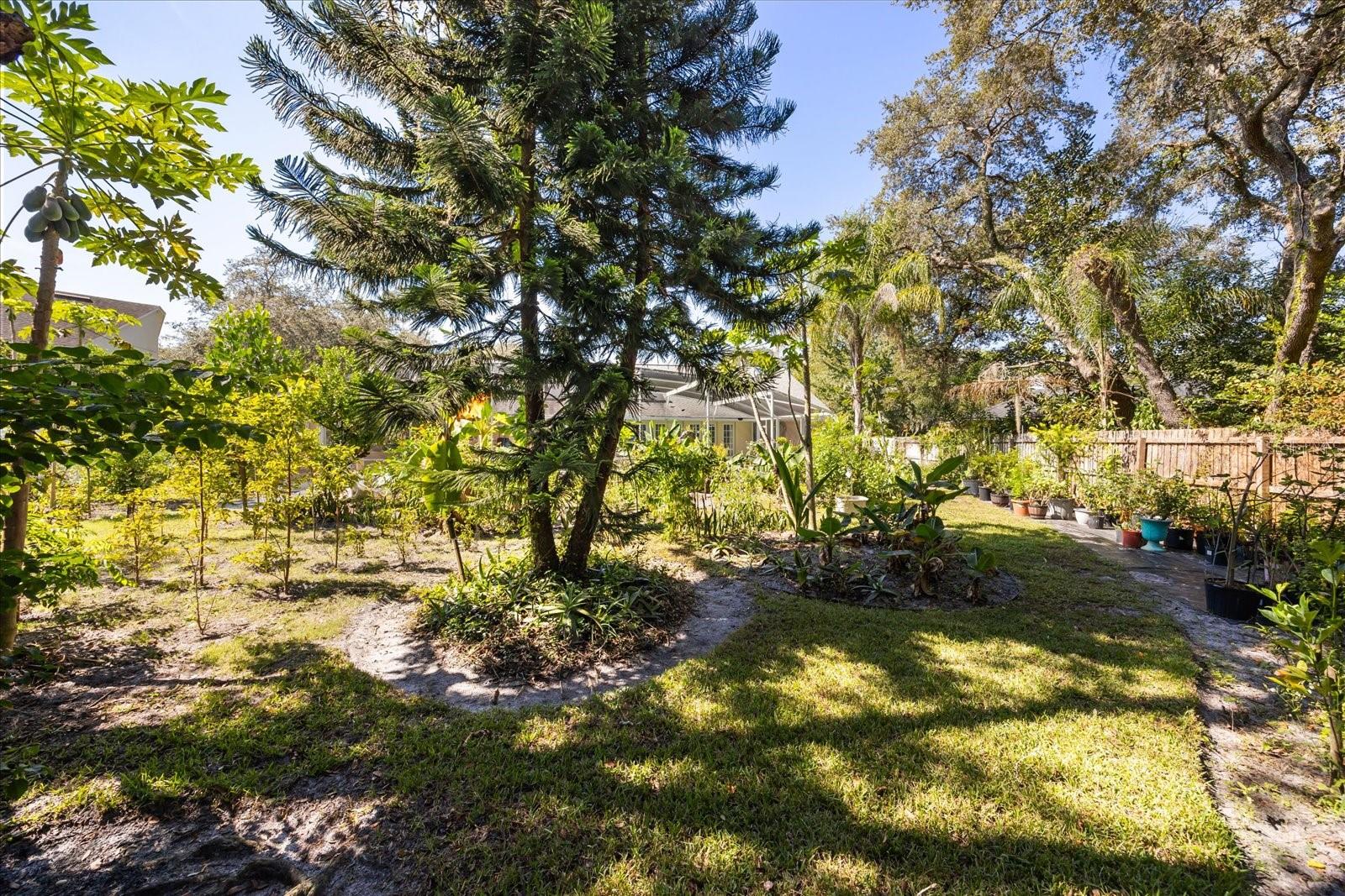 COUNTRY DOWNS PH 2 - Residential