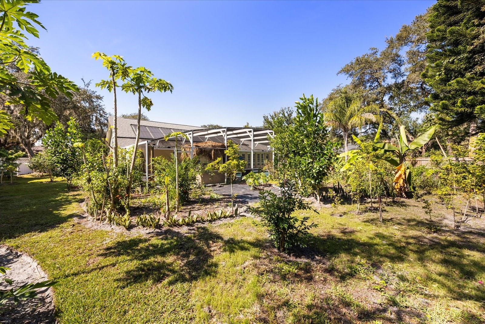 COUNTRY DOWNS PH 2 - Residential