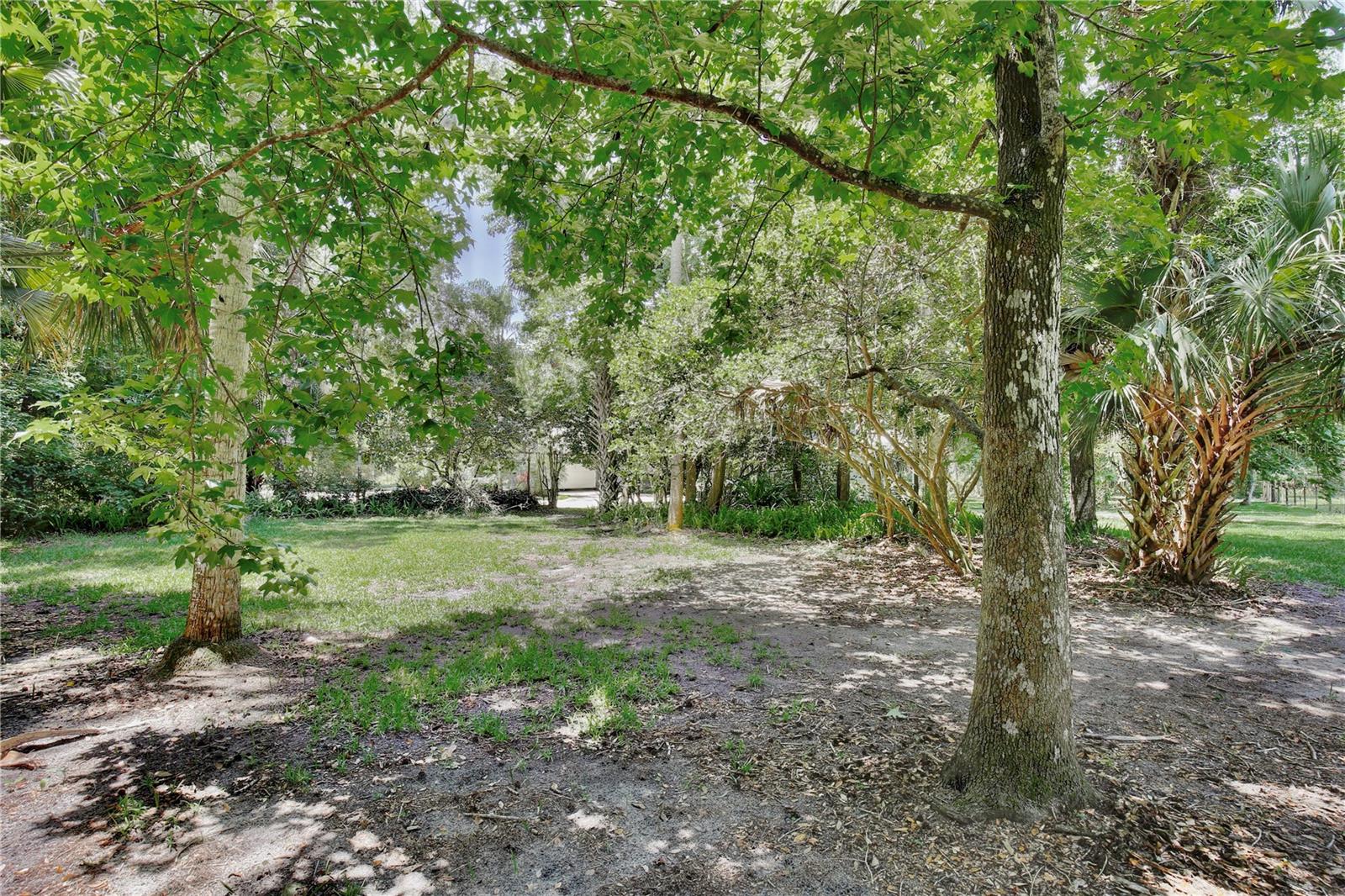 ACREAGE & UNREC - Land