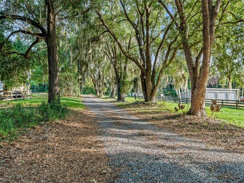 Tiny photo for 13061 SE 158th Lane, Weirsdale, FL 32195 (MLS # G5113203)
