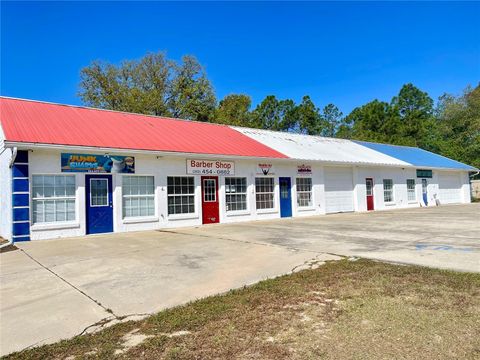 9145 SE 151ST LANE ROAD SUMMERFIELD FL 34491