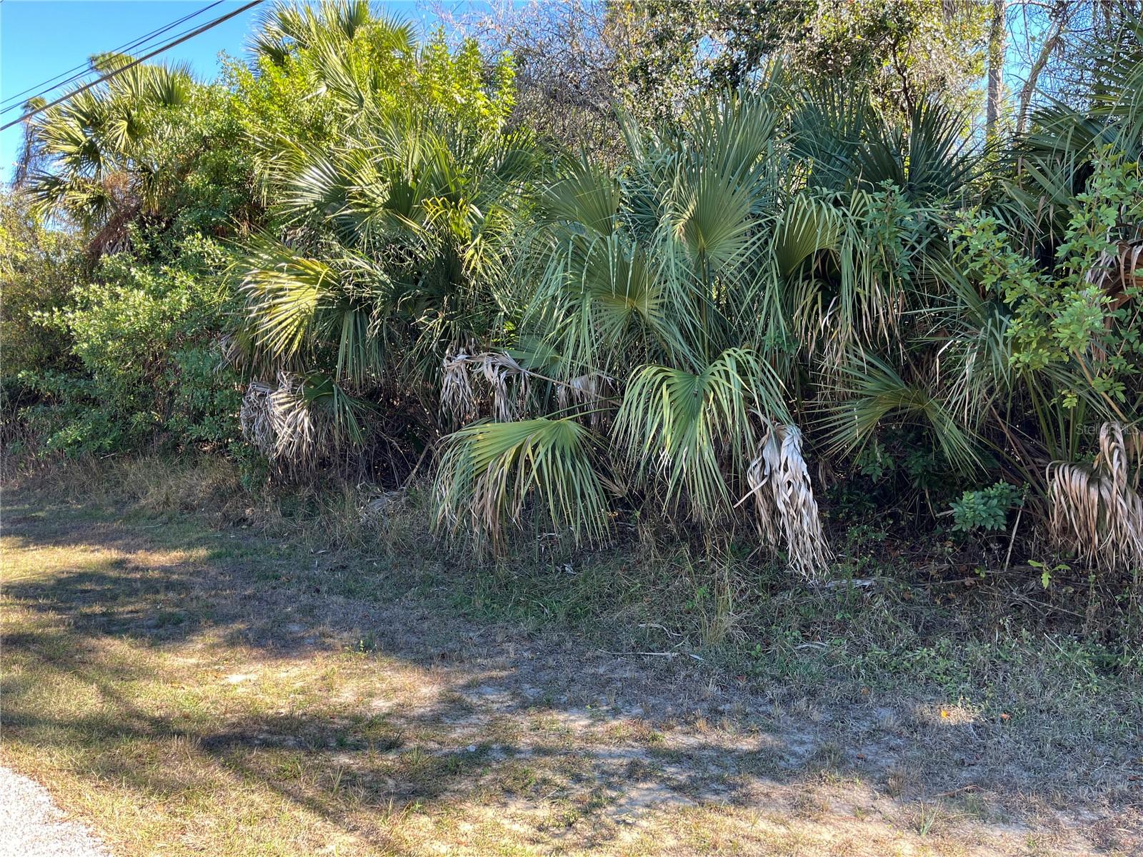 PORT CHARLOTTE SUB 17 REP - Land