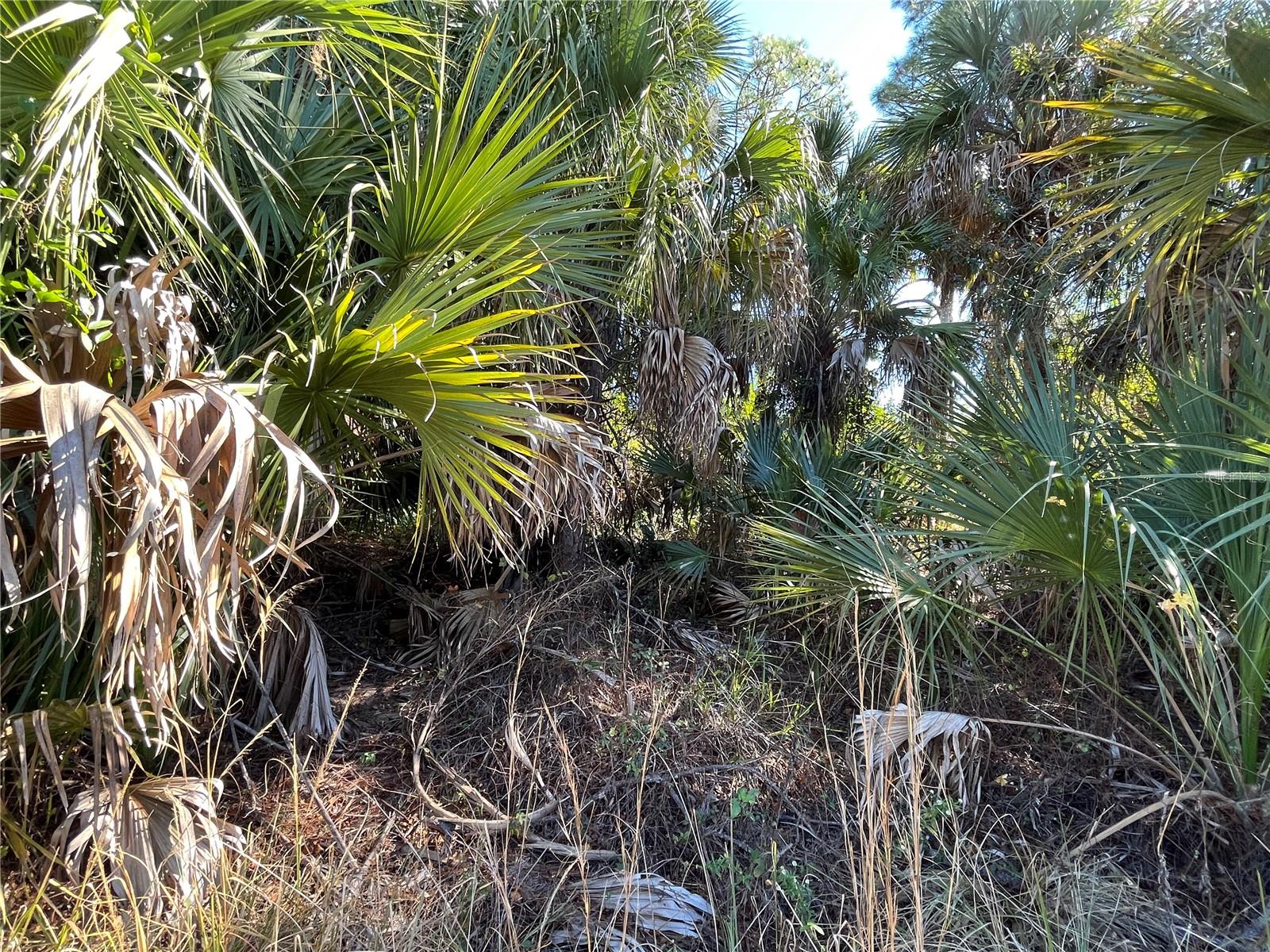 PORT CHARLOTTE SUB 17 REP - Land