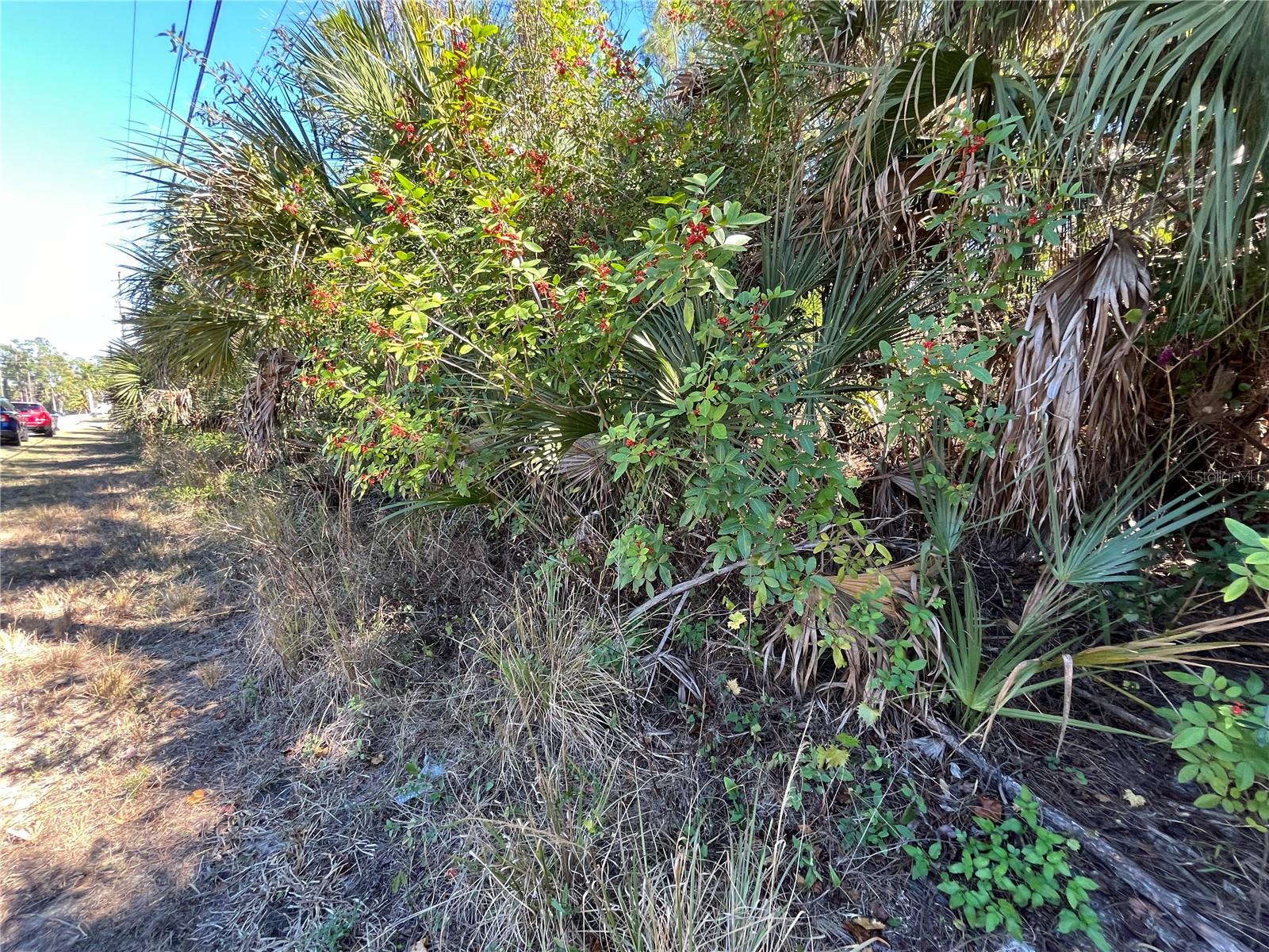 PORT CHARLOTTE SUB 17 REP - Land