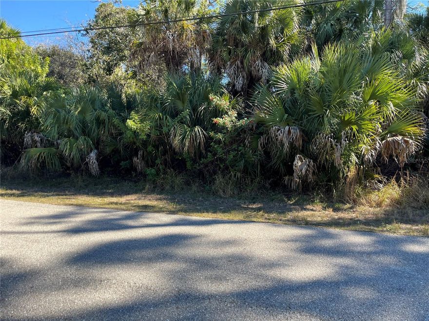 Winter Special.  Seller Motivated.  Vacant Land in a developing area in North Port on the canal.  Your neighbors have already built their homes on the street.  Zoned Residential RSF2.  Perfect lot to build your single family home or modular home.  Two stories allowed.  Go and see.  Call for more information.
