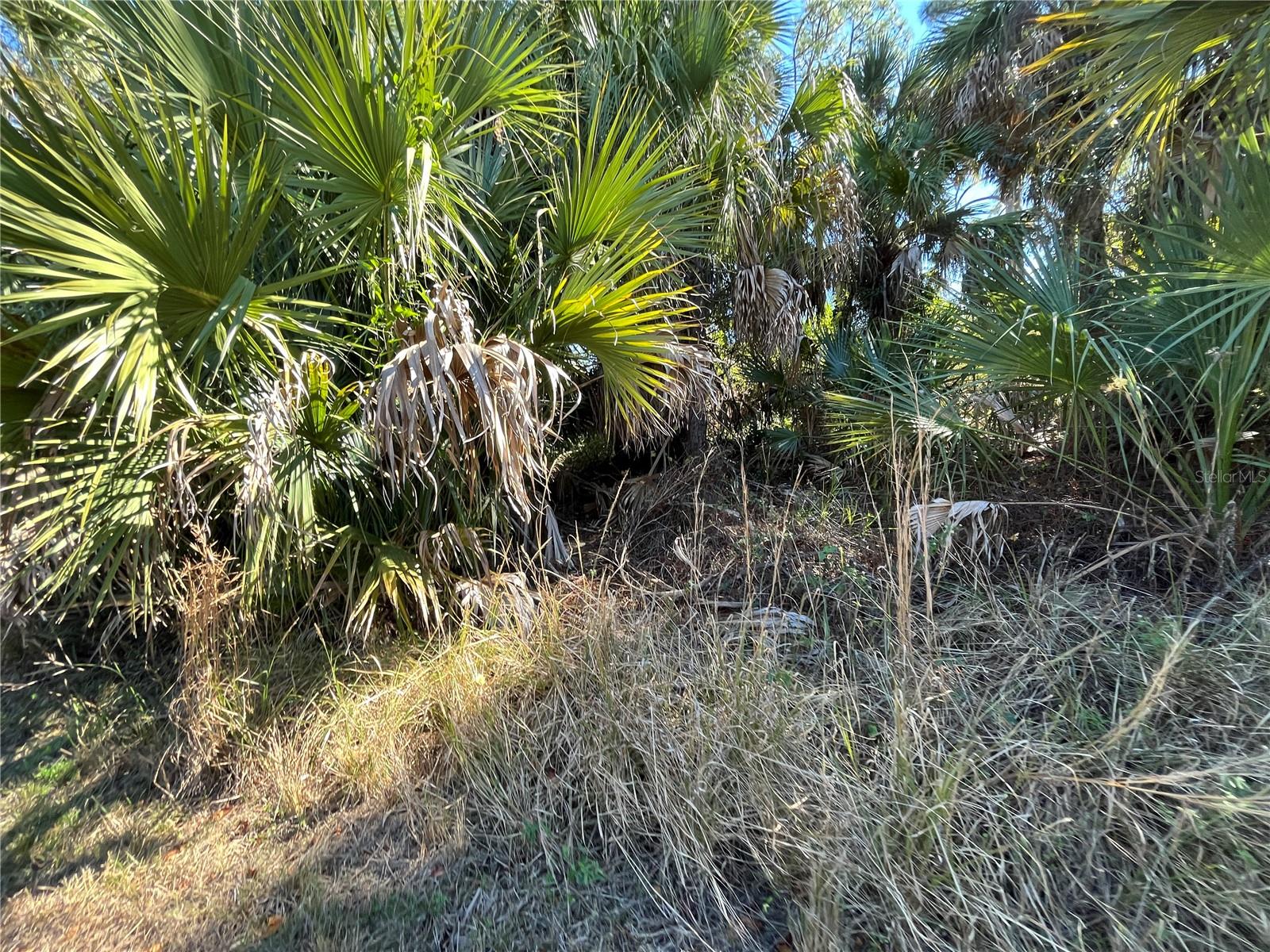 PORT CHARLOTTE SUB 17 REP - Land