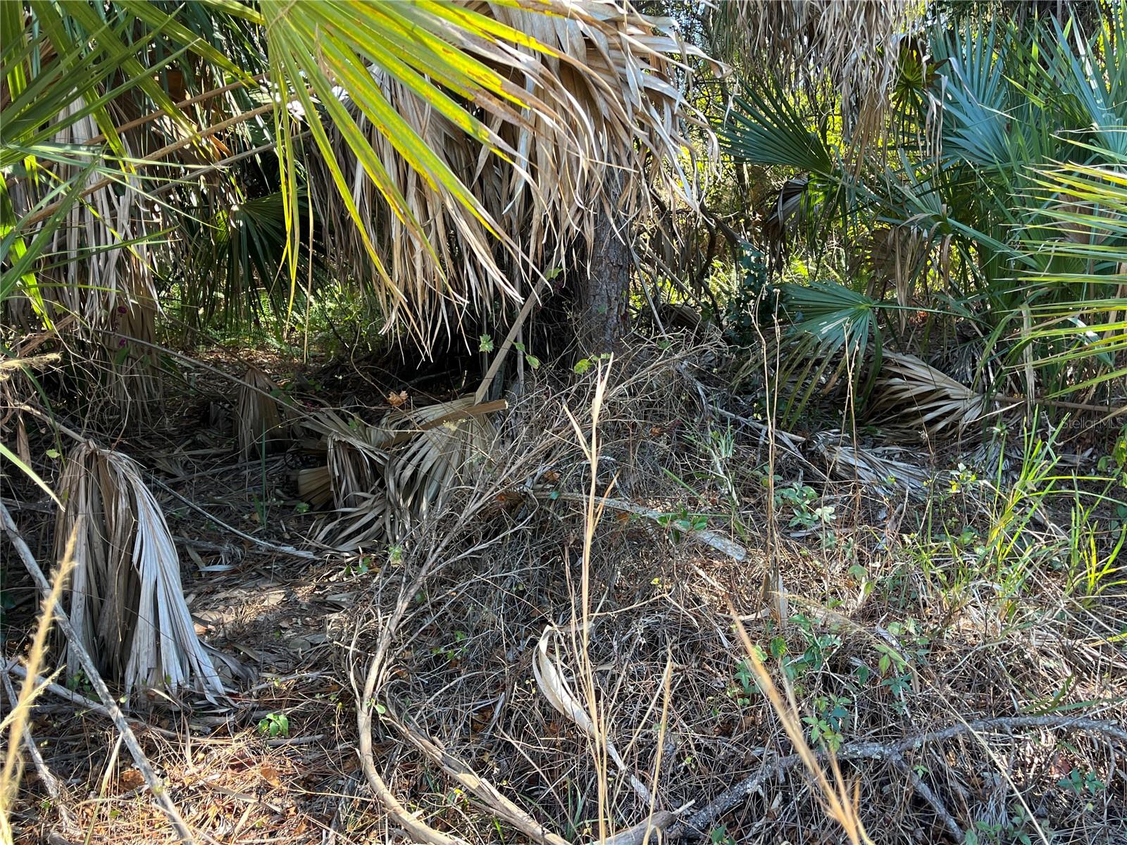 PORT CHARLOTTE SUB 17 REP - Land