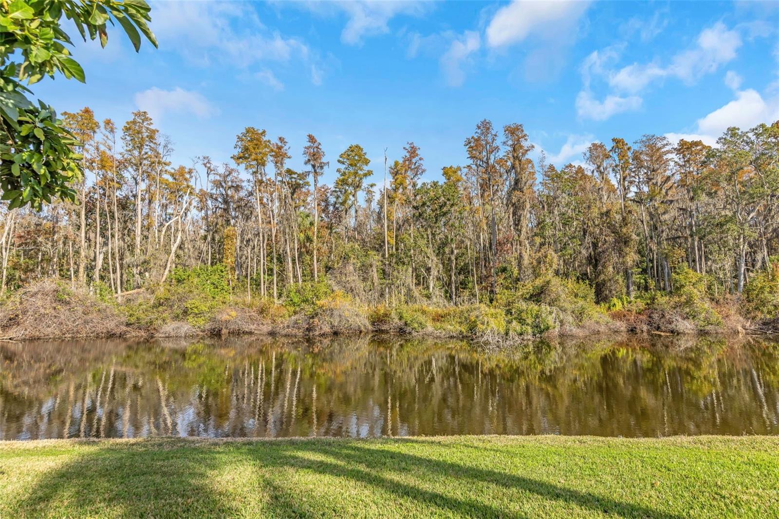 2024 HEATHFIELD CIRCLE 155