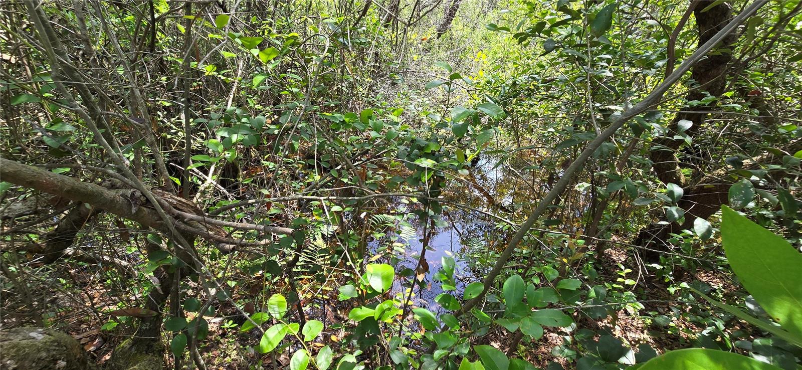 SUNNY HILLS UNIT 1 - Land