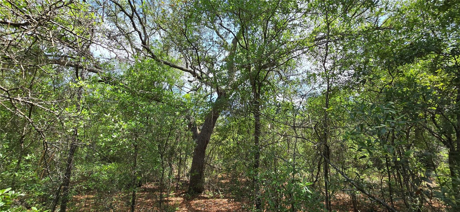 SUNNY HILLS UNIT 1 - Land