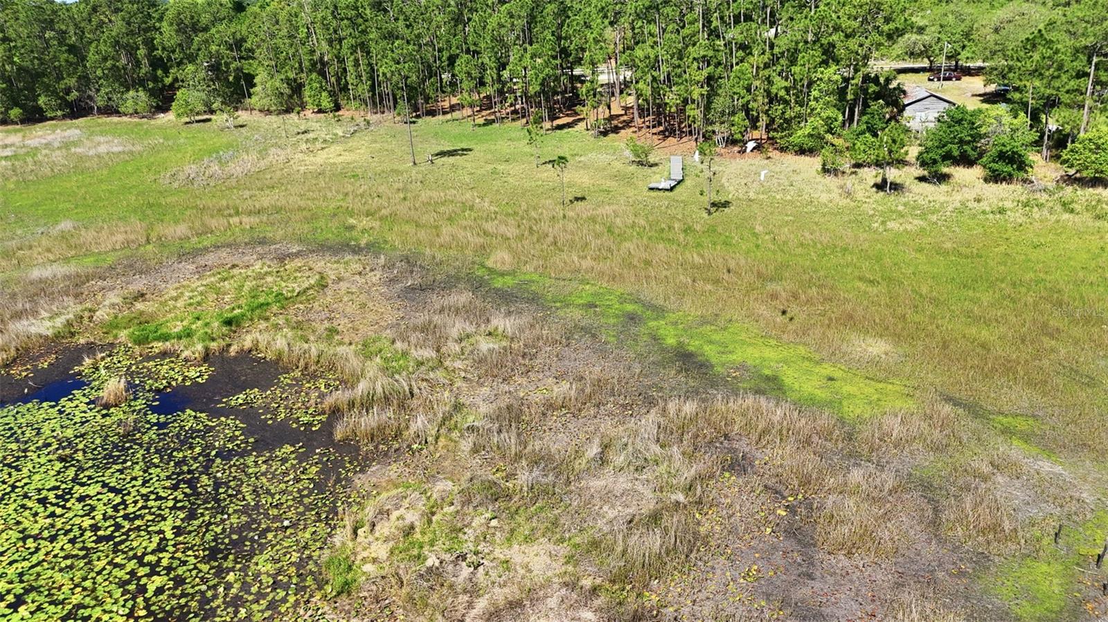 TBD HOLLY BRANCH ROAD