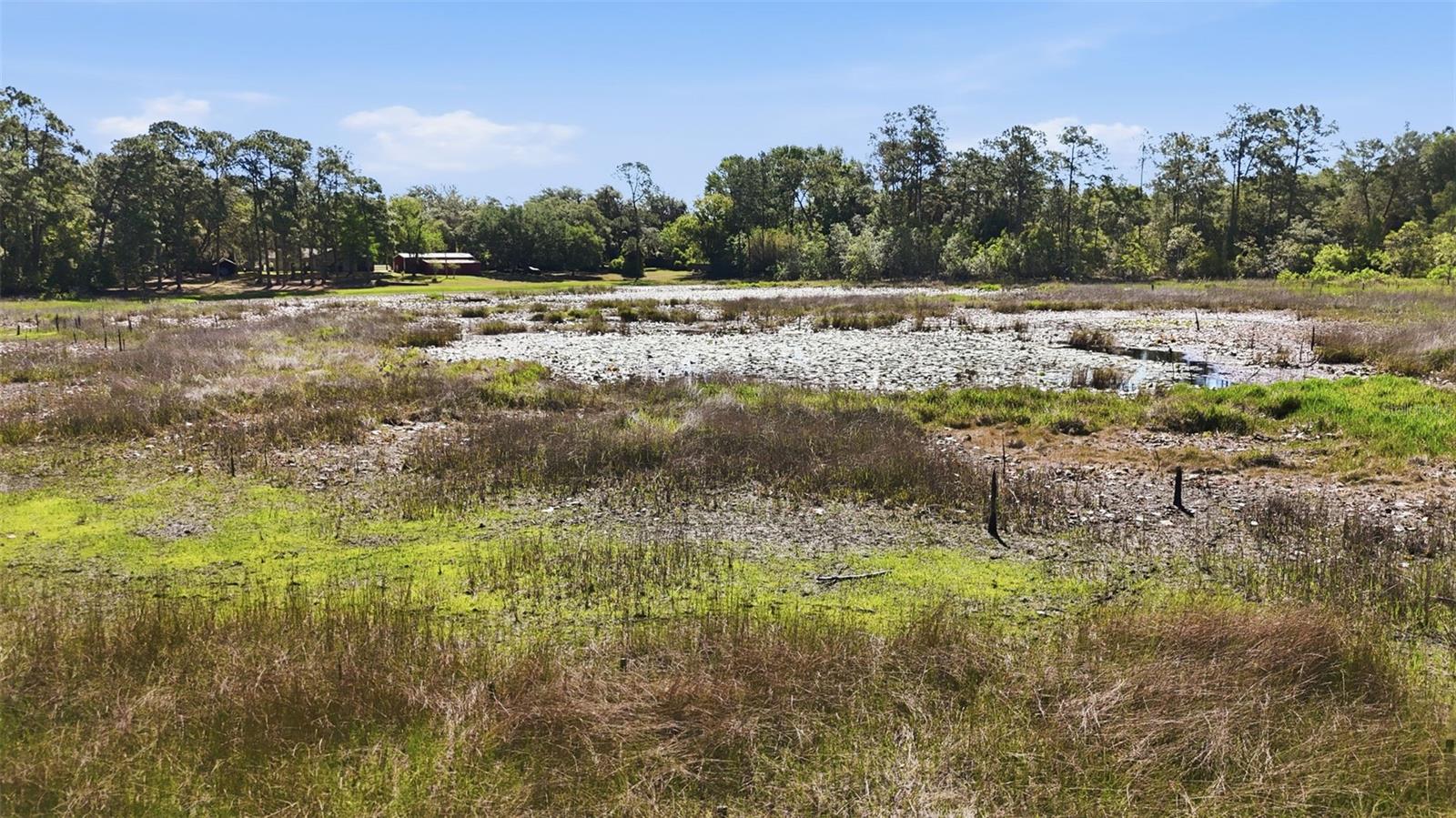 TBD HOLLY BRANCH ROAD