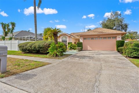 Photo of 13504 Fawn Ridge Boulevard, Tampa, FL 33626 (MLS # W7882282)
