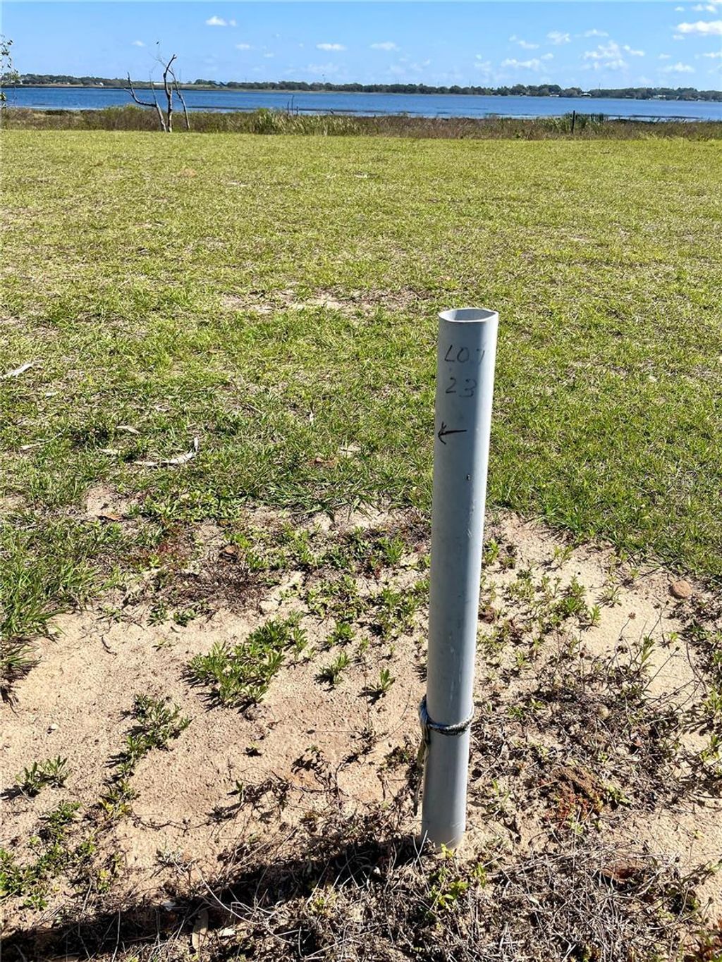 Photo of 356 Caladium Avenue, Lake Alfred, FL 33850 (MLS # O6180975)