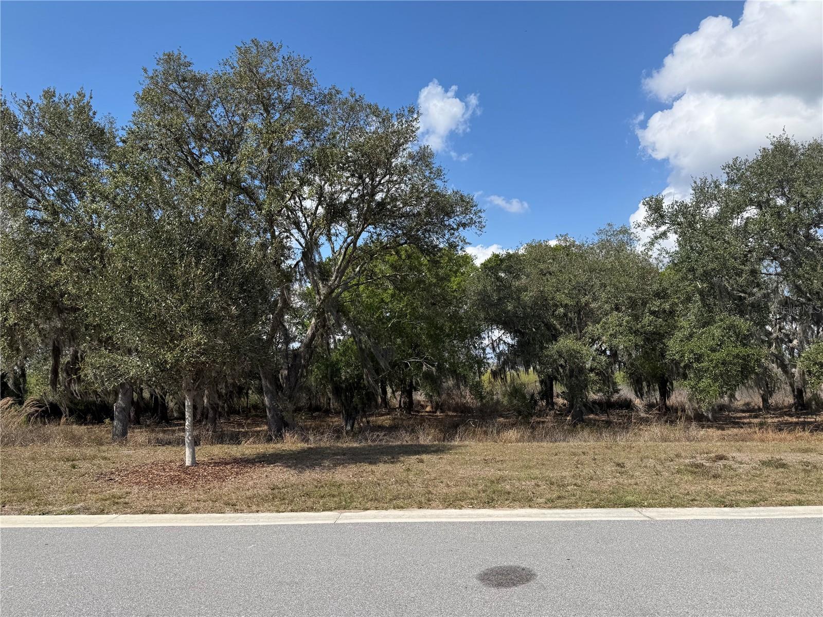 941 CROSSWIND AVENUE