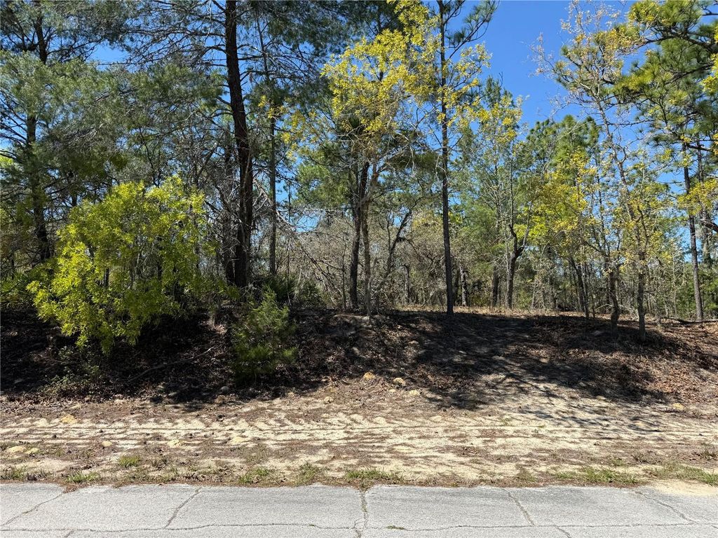 Photo of 10776 N Moreno Drive, Dunnellon, FL 34433 (MLS # OM721205)