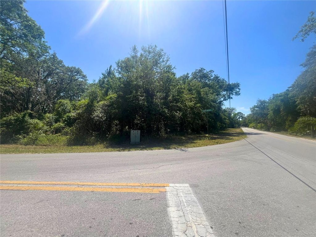 Photo of 6610 N Shorewood Drive, Hernando, FL 34442 (MLS # OM700699)