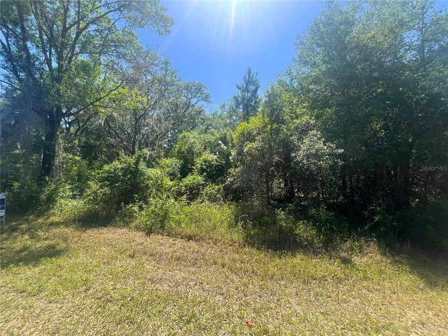 Check out this waterfront homesite with access to the Tsala Apopka lake chain in Hernando, FL. Zoned residential with no HOA and no time limit to build, this property is perfect for your dream home or weekend retreat. Ideal for boating and fishing enthusiasts, with potential for your own private dock or boat launch. Enjoy peaceful water views and abundant wildlife in a quiet, natural setting.