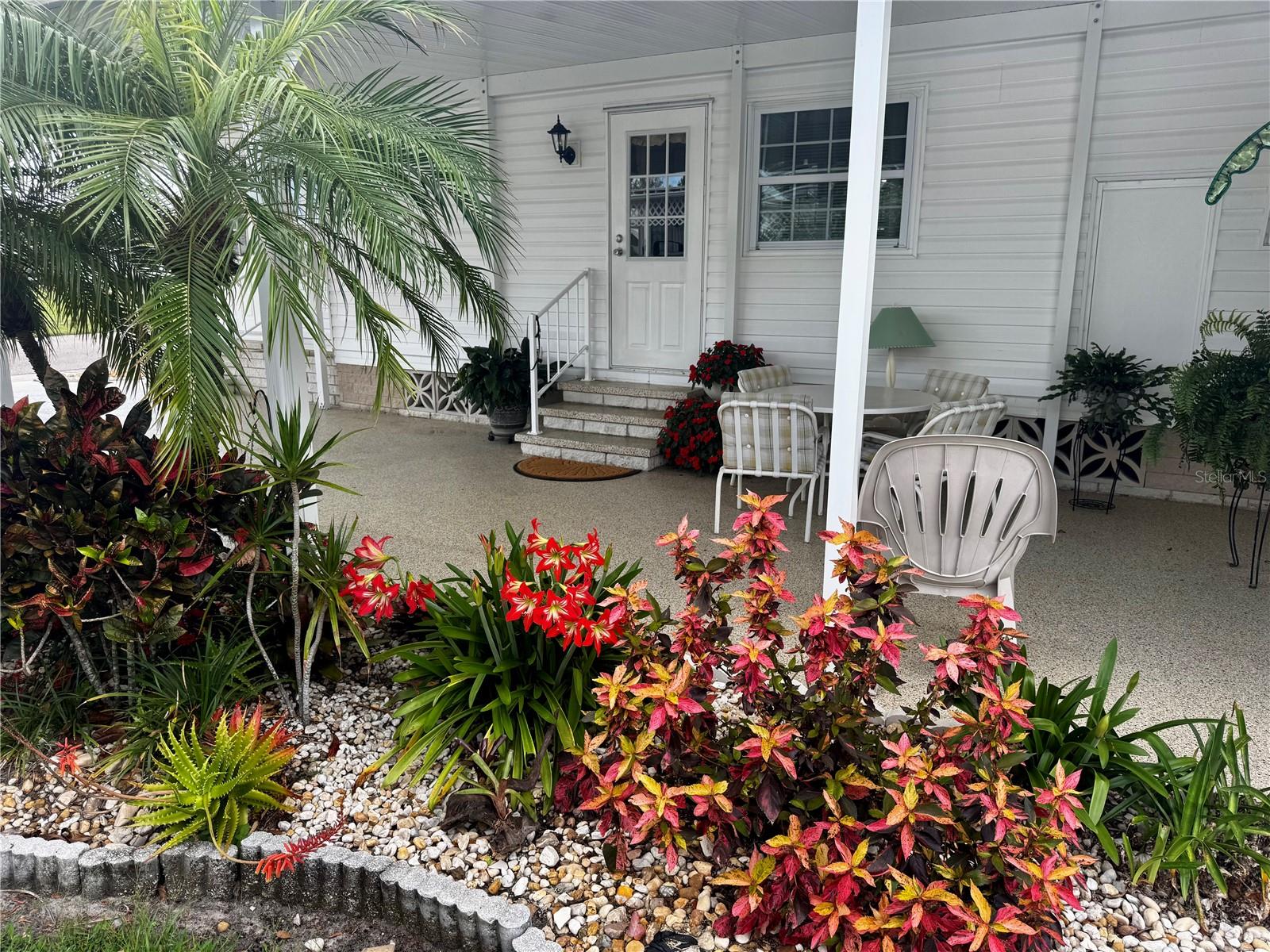 TERRA CEIA MANOR CO-OP - Residential