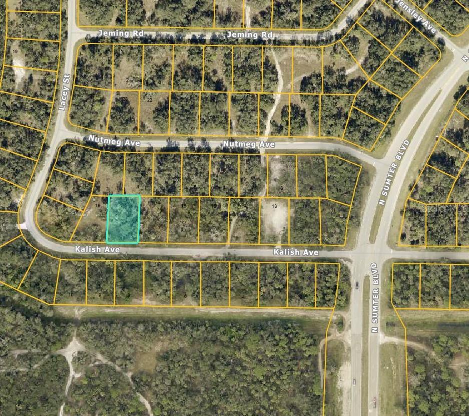 Prime Residential Lot in North Port, FL – Build Your Dream Home (sellers have another lot listed for sale across the street! Package Deal! MLS# C7507166) Seize this incredible opportunity to own a vacant residential lot in the rapidly growing city of North Port, Florida! Nestled in a quiet, up-and-coming neighborhood, this oversized lot offers the perfect setting for your dream home or investment property. Key Features: Spacious Lot – Plenty of room for a custom-built home, pool, and outdoor living space, No HOA or CDD Fees – Enjoy the freedom to design without restrictions, Ideal Location – Close to top-rated schools, parks, and nature preserves, Convenient Access – Minutes from I-75, shopping, and dining, Growing Area – North Port is one of Florida’s fastest-growing cities, making this a fantastic investment opportunity, Outdoor Paradise – Near The Atlanta Braves Spring Training Stadium (CoolToday Park), Warm Mineral Springs, Myakka River, and Gulf beaches. Whether you're looking to build your forever home or invest in Florida’s booming real estate market, this prime North Port lot is a must-see! Don’t miss out—secure your piece of paradise today! Buyer Agent's are Welcome!!