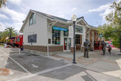 A home in DUNEDIN