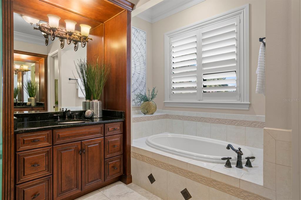 THE RESERVE OF OLD TAMPA BAY - Residential