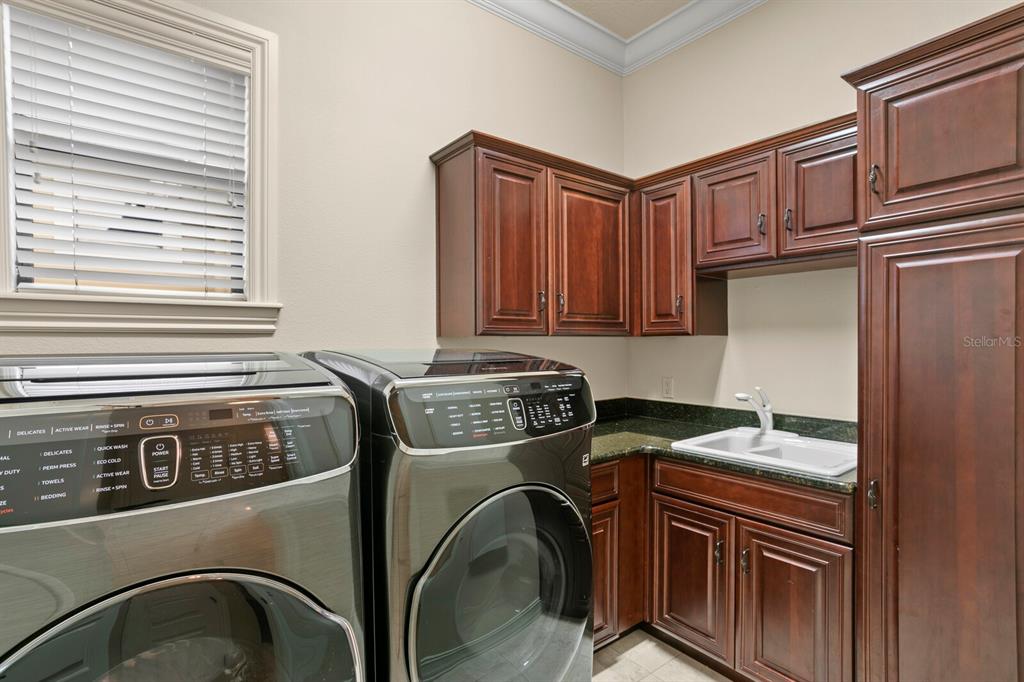 THE RESERVE OF OLD TAMPA BAY - Residential