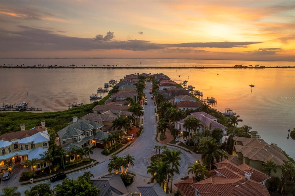 THE RESERVE OF OLD TAMPA BAY - Residential