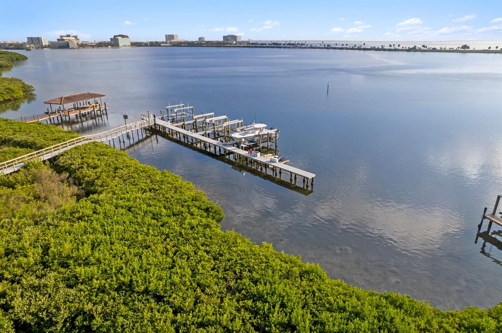 THE RESERVE OF OLD TAMPA BAY - Residential