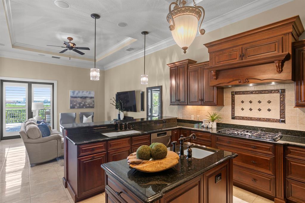 THE RESERVE OF OLD TAMPA BAY - Residential