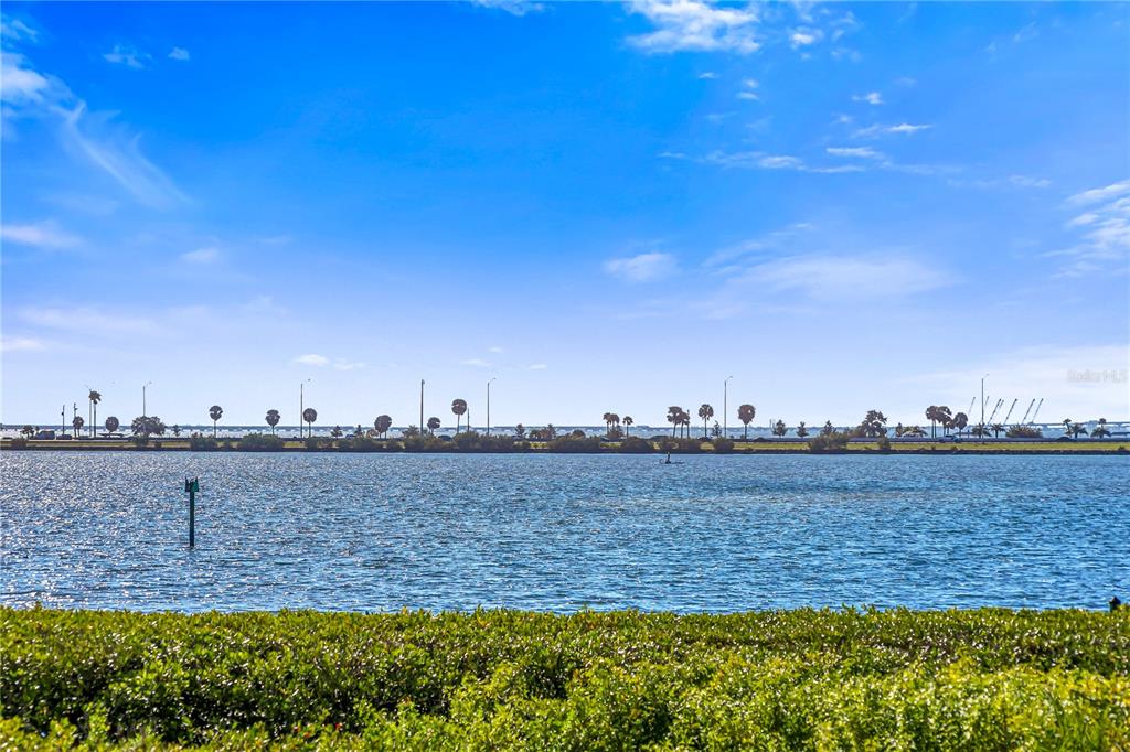 THE RESERVE OF OLD TAMPA BAY - Residential