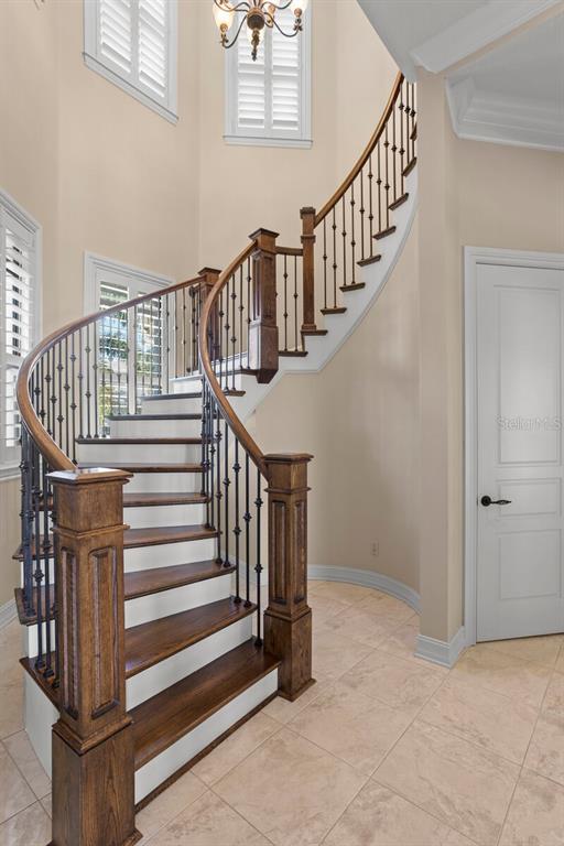 THE RESERVE OF OLD TAMPA BAY - Residential