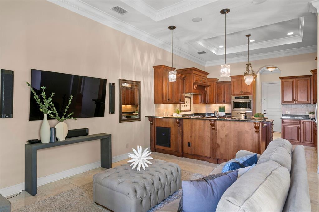 THE RESERVE OF OLD TAMPA BAY - Residential