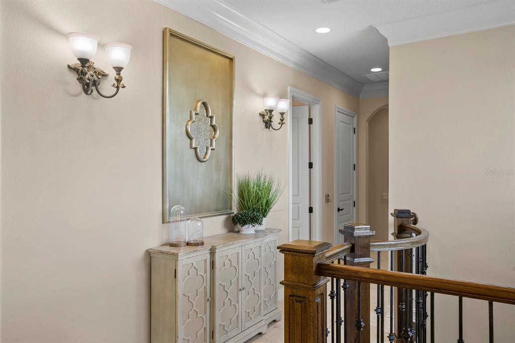 THE RESERVE OF OLD TAMPA BAY - Residential