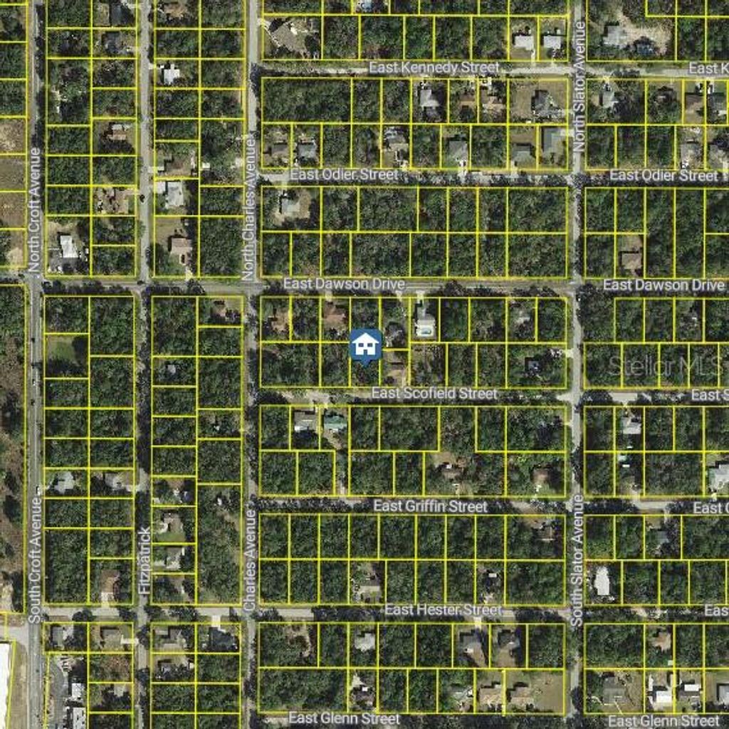 Photo of 3061 E Scofield Street, Inverness, FL 34453 (MLS # W7882169)