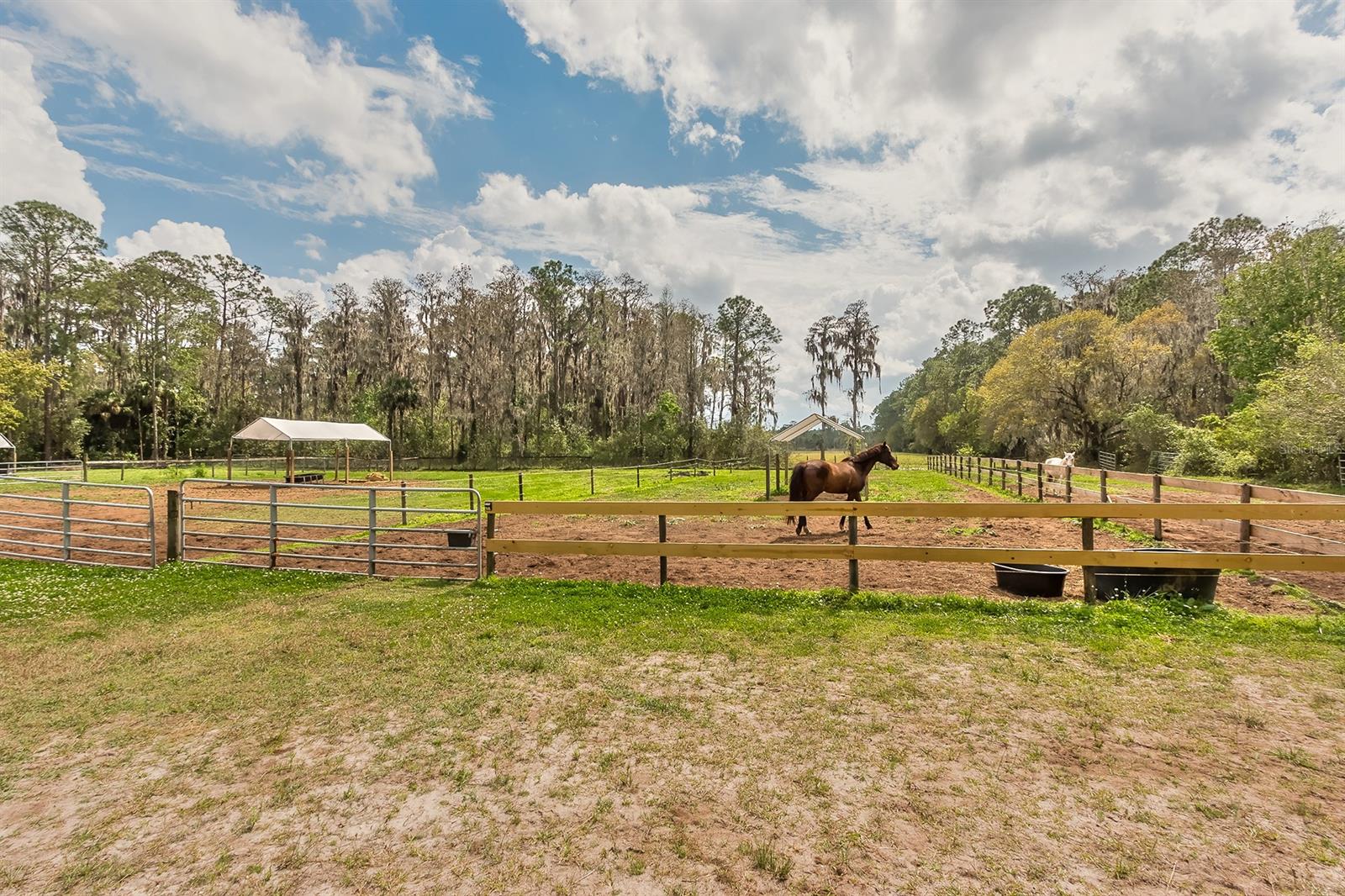 Howe & Currier - Land