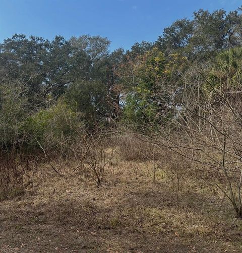 16644 SE 134TH TERRACE WEIRSDALE FL 32195