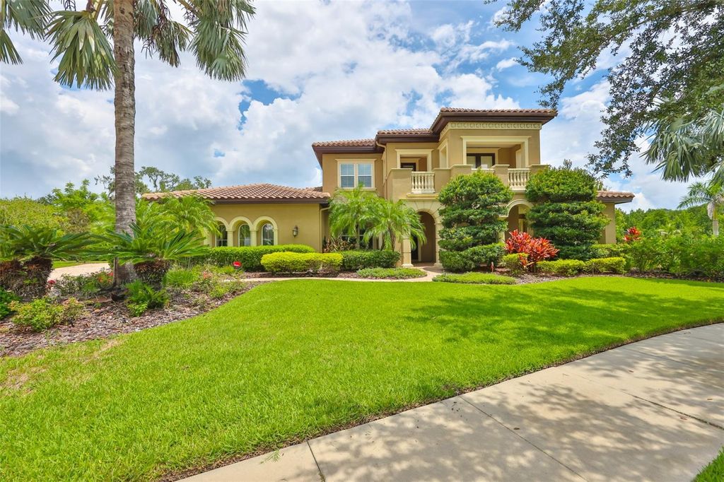 Photo of 16423 Chapman Crossing Drive, Lithia, FL 33547 (MLS # TB8415176)