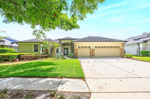 3965 EMERALD ESTATES CIRCLE APOPKA FL 32703