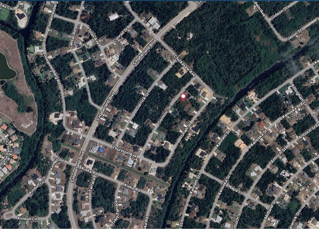 DOMINIC STREET